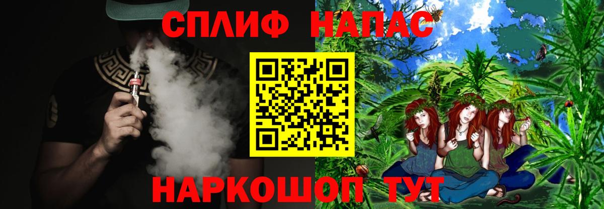 МАРИХУАНА сатива Ачхой-Мартан